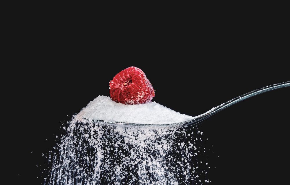 rikshospitalet diet